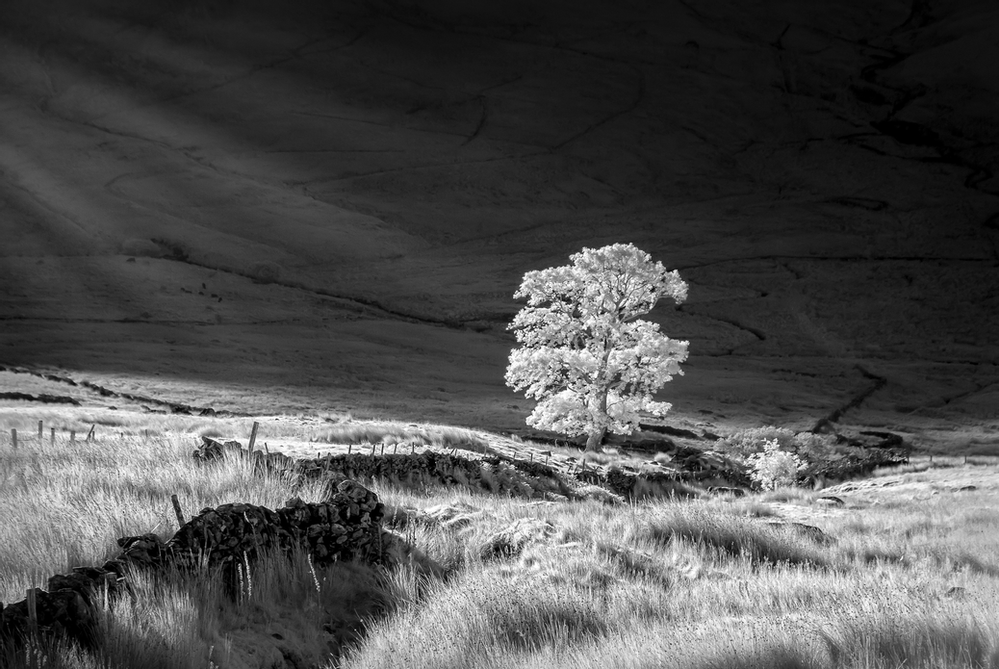 White infrared store