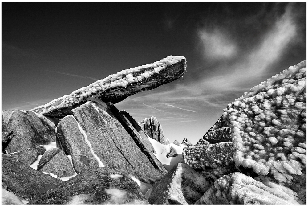 Image © Tom Dodd file-1-28