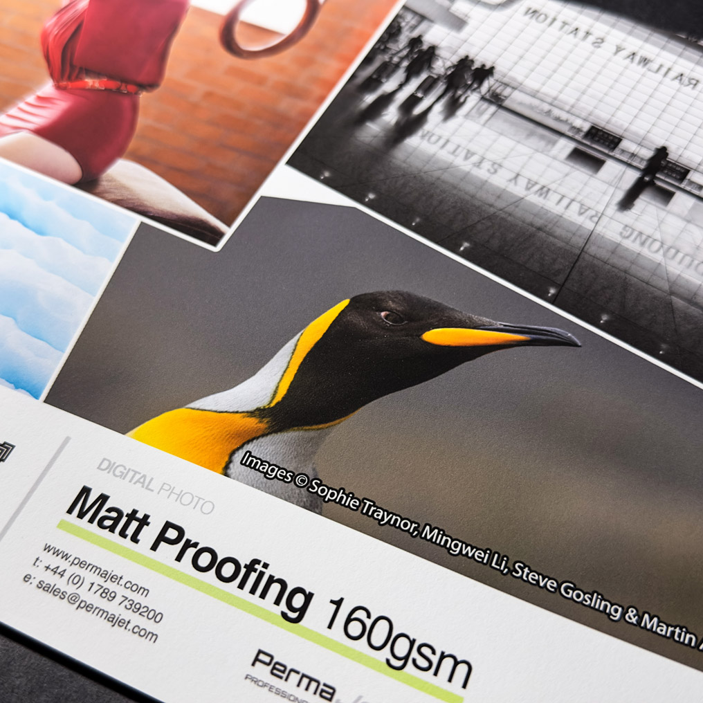 Close up of a printed sheet of Matt Proofing 160
