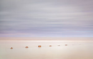 A long exposure seascape with soft pastel lighting
