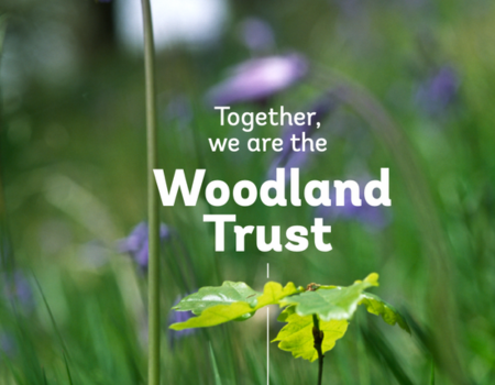 Woodland Trust logo